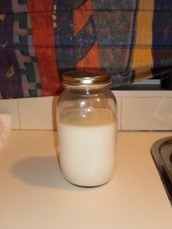 Litre Of Milk. 1 litre of milk – Use full fat